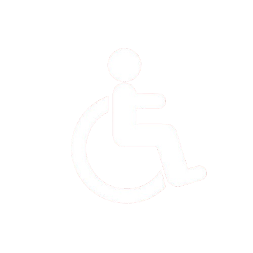 Accessibility Icon